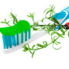 organic-toothpastephoto1